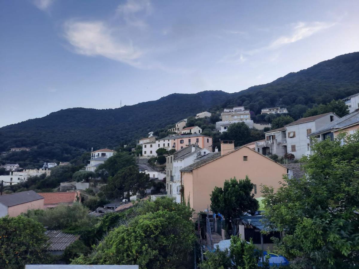 Jc 15 Apartman San-Martino-di-Lota Kültér fotó